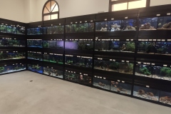 3-ok-IMG_20211109_152834